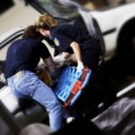 AdobeStock_21246556-1600x1600 (1)